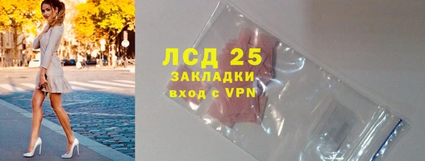 стаф Дмитровск
