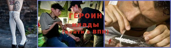 стаф Дмитровск