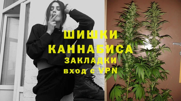 стаф Дмитровск