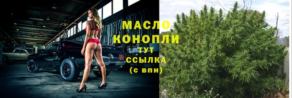 стаф Дмитровск