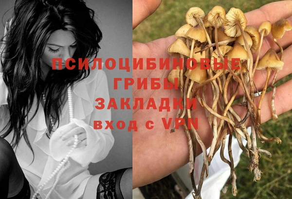 марки nbome Дмитров