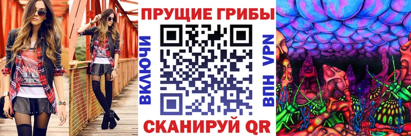 Псилоцибиновые грибы Psilocybe Кашин