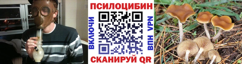 Псилоцибиновые грибы мицелий  Купить  Кашин 